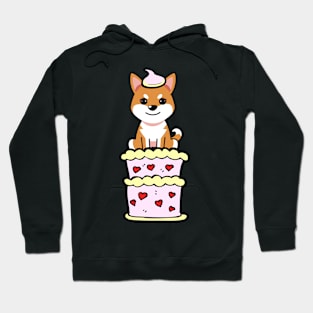 Orange dog Jumping out of a cake Hoodie